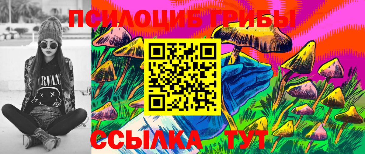 Галлюциногенные грибы Psilocybe  Вход с VPN  Ипатово 